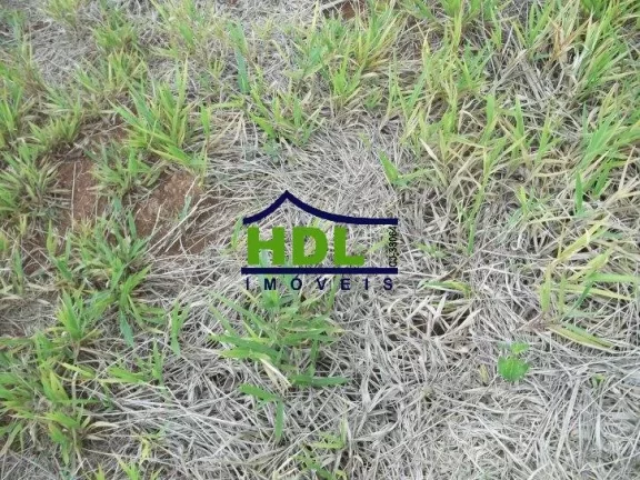 Imagem FAZENDA 24 ALQS CULTURÃO BEIRA RIO