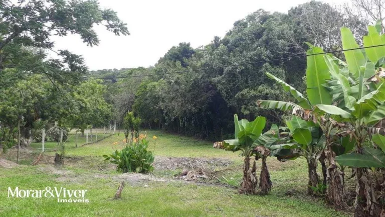 Imagem Sítio para Venda em Paranaguá, Alexandra, 3 dormitórios, 1 banheiro, 2 vagas