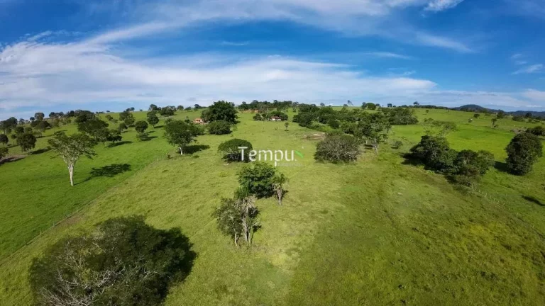 Imagem Fazenda 3 alqueires em Anicuns - Excelente para plantio