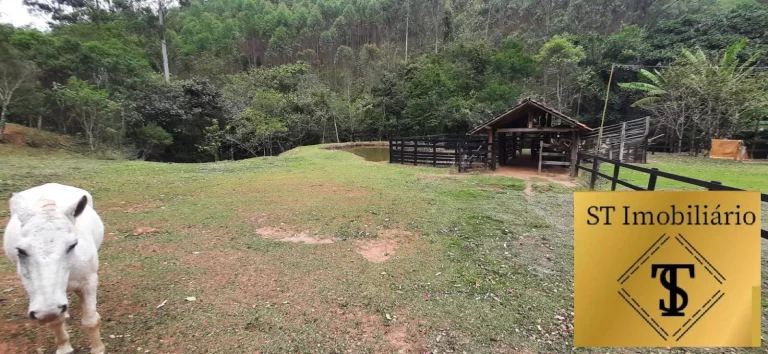 Imagem Sítio 37.000 m² com Lago e Cocheira Fácil Acesso Piracaia