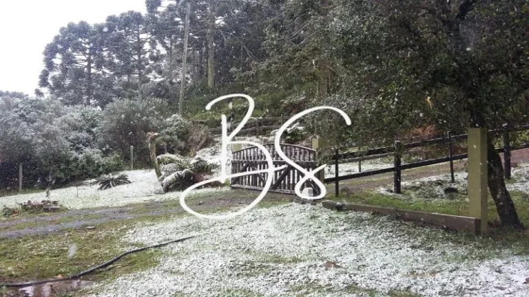 Imagem SITIO RURAL em URUBICI - SC, Urubici