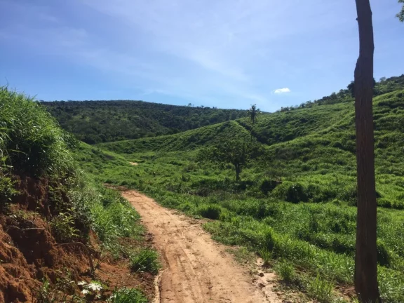 Imagem FAZENDA RURAL em COLATINA - ES, ÁREA RURAL DE COLATINA