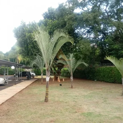 Imagem Apartamento - Ribeirão Preto - Parque dos Lagos