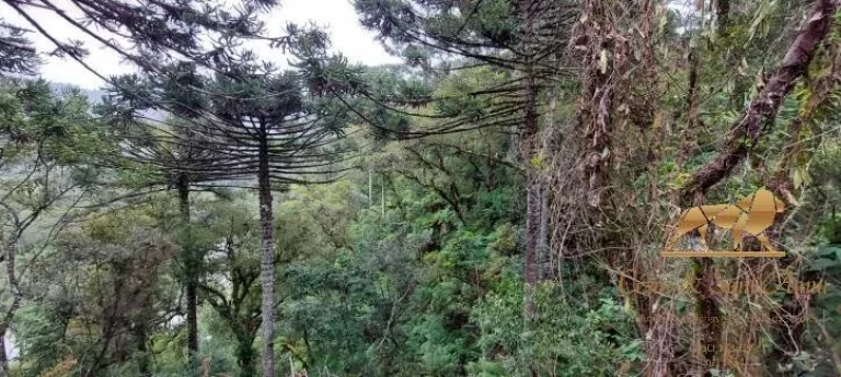 Imagem Terreno à venda, 5170 m² por R$ 350.000,00 - Descansópolis - Campos do Jordão/SP