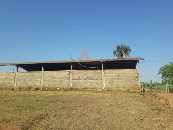 Imagem Fazenda - Cajuru - Zona Rural