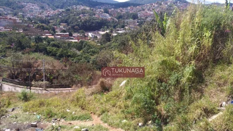 Imagem Terreno à venda, 4080 m² por R$ 1.010.638,48 - Recreio São Jorge - Guarulhos/SP