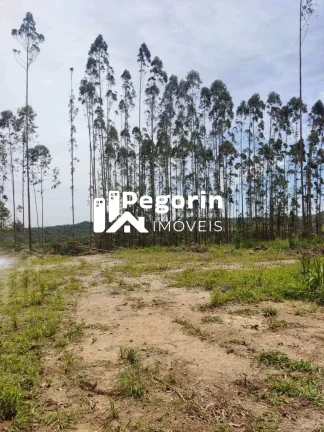 Imagem Chácara para Venda, Campo Magro / PR, bairro Hervalzinho, área total 24.397,00 m²