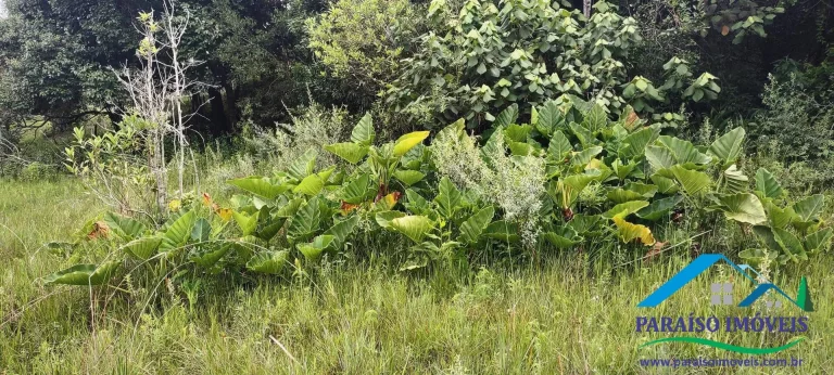 Imagem Espetacular Terreno Rural na Serra da Mantiqueira - Sul de Minas