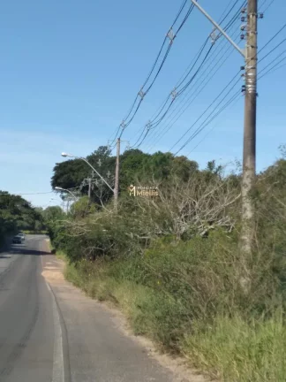 Imagem Terreno com 3 Dormitorio(s) localizado(a) no bairro Águas Claras em Viamão / Rio Grande do Sul Ref.:57580594