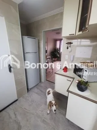 Imagem Apartamento Taquaral recentemente reformado, excelente local.