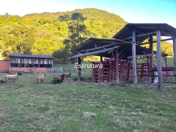 Imagem Sítio maravilhoso com 47 hectares de natureza exuberante!