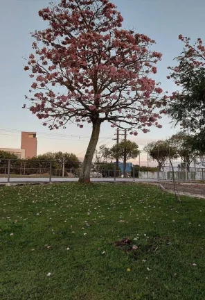 Imagem Pensa em um lugar completo!