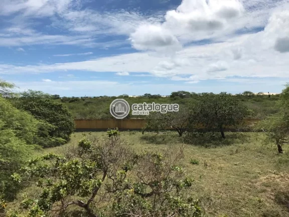 Imagem Fazenda em Caíçara do Norte 552 Ha