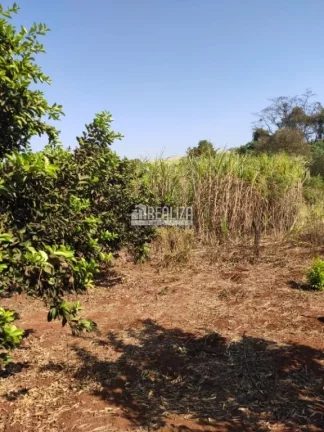 Imagem Chácara à venda próximo à Delta: seu refúgio rural na cidade