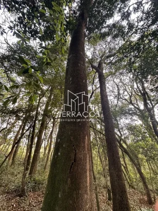 Imagem UM PARAÍSO EM BUENO BRANDÃO MINAS GERAIS - TERRENO DESLUMBRANTE DE 20.000 M²