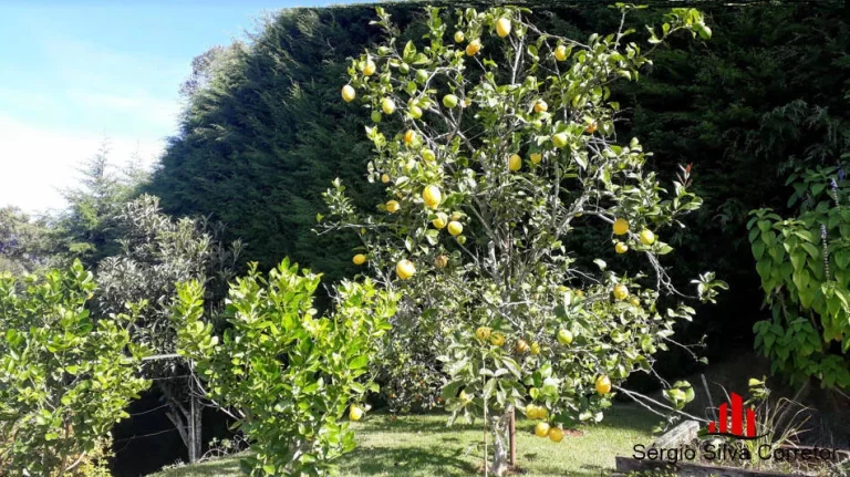 Imagem Casa com 04 Suítes à Venda, em Condomínio Fechado Alto Padrão.