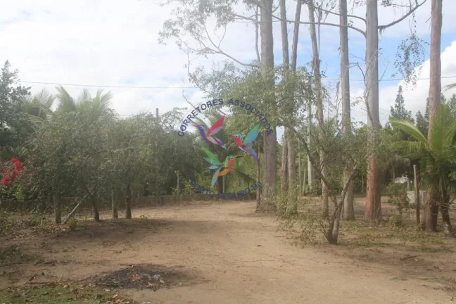 Imagem SÍTIO EM TRANCOSO - PORTO SEGURO - BAHIA