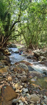 Imagem Sítio à venda no bairro Centro - Maquiné/RS