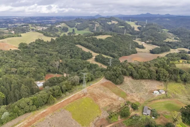 Imagem Chácara em Campo Magro com 24.200 m²