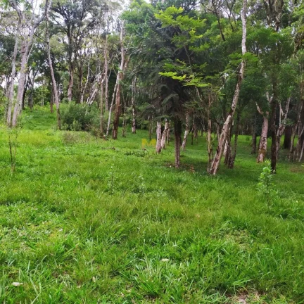 Imagem Chácara à venda no Recreio da Serra em Piraquara!!!