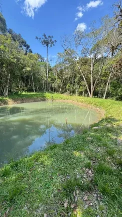 Imagem Chácara com 3 dormitórios e 2 vagas de garagem em Salto do Engenho | Campo Alegre/SC