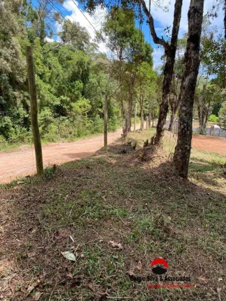 Imagem Terreno a Venda da Região do Alto da Boa Vista em Campos do Jordão - SP.