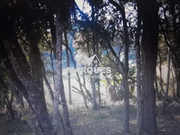 Imagem Oportunidade Única! Terreno de 4.934m² à Venda