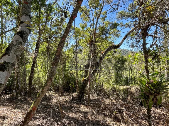 Imagem Terreno à venda em Campos do Jordão - Excelente opção para investimento
