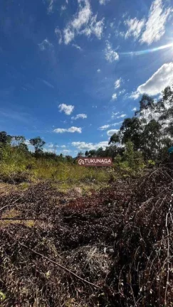 Imagem Terreno à venda, 1000 m² por R$ 110.000,00 - Rio Acima - Mairiporã/SP