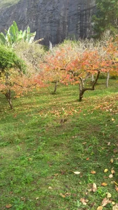 Imagem Vendo esta linda chácara em Nova Friburgo com 15.000m2.