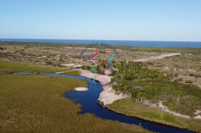 Imagem Mogi dos Pássaros - Mogiquiçaba - Belmonte - Bahia
