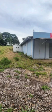 Imagem INVESTIDORES!!! - Sítio a venda com 3 Hectares, Pimenta, Viamão/RS