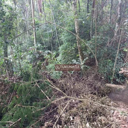 Imagem Condomínio Fechado -Terreno à venda, 1350 m² por R$ 250.000 - Serra da Cantareira - Mairiporã/SP