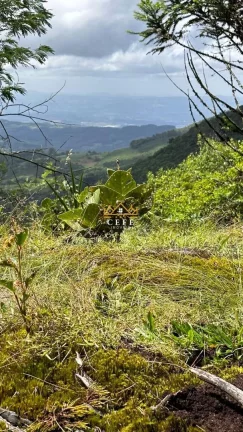 Imagem Terreno com 2 Dormitorio(s) localizado(a) no bairro Mato Comprido em Morro Reuter / RIO GRANDE DO SUL Ref.:1571
