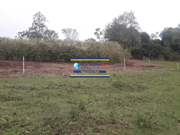 Imagem Sítio 3 alqueires ou 7,26 hectares com casa, cercada, 6.000 pés de café em São Tomás de Aquino - MG