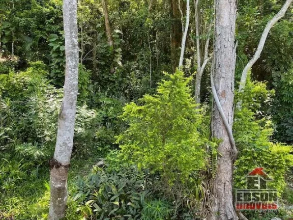 Imagem Casa no Condomínio Horizontal Floresta do Elefante
