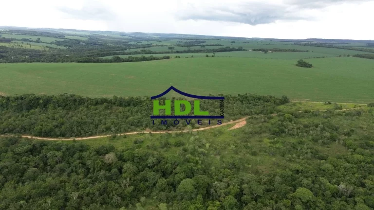 Imagem Fazenda 70 Alqs Dupla Aptidão plantada em Soja em Bela Vista GO