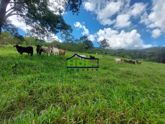 Imagem Fazenda com 68 Alqs em Marzagão GO