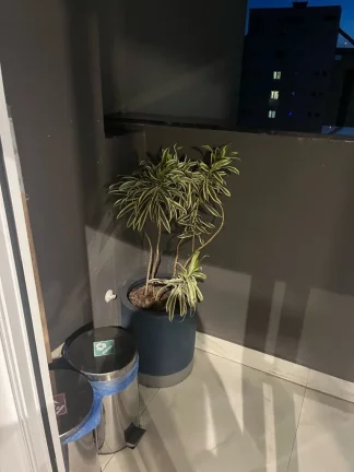 Imagem Studio à venda na Vila Olímpia, São Paulo-SP: 1 quarto, 1 banheiro, 1 vaga, 56m² de área - Imperdível oportunidade!