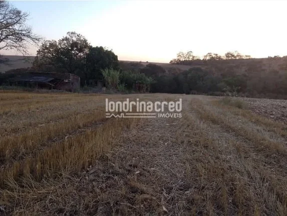 Imagem Vendo Terreno de 40.000m² Próximo a Ibiporã – Ótimo para Investimento, Loteamento, Agricultura ou Chácaras! Duas Escrituras! Agende uma Visita!