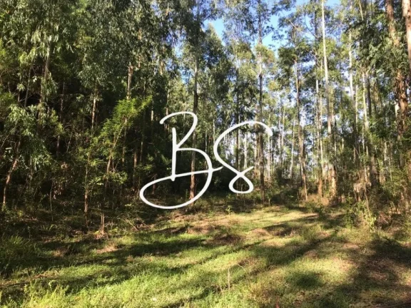 Imagem AREA RURAL em SANTO ANTÔNIO DA PATRULHA - RS, Pinheirinhos