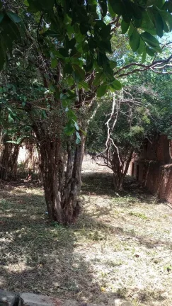 Imagem Terreno Padrão