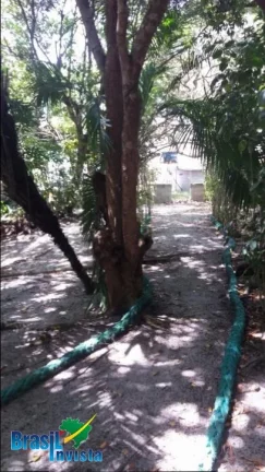 Imagem LINDA ÁREA EM CABRÁLIA