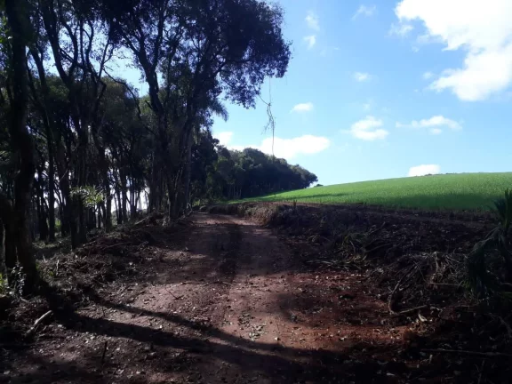 Imagem Chácara à venda em Campo Largo/PR