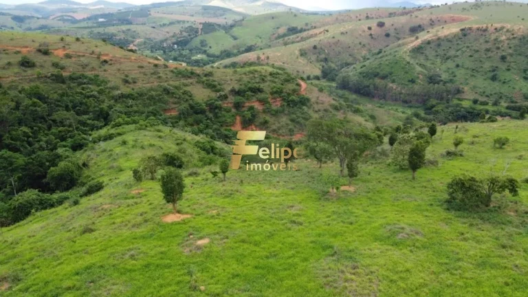 Imagem Fazenda 55 alqueires escriturada produtiva com muita água em Colatina.