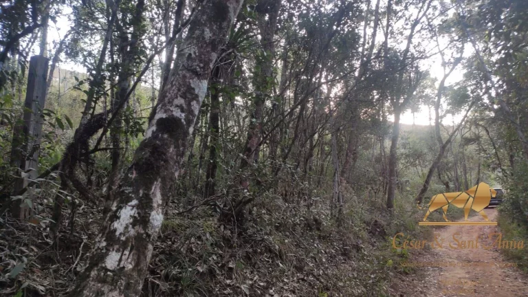 Imagem Terreno a venda nas montanhas de Campos do Jordão-SP