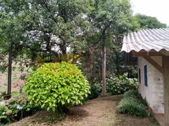 Imagem Fazenda à Venda, 90 m² em Barra Avencal - Rio Dos Cedros