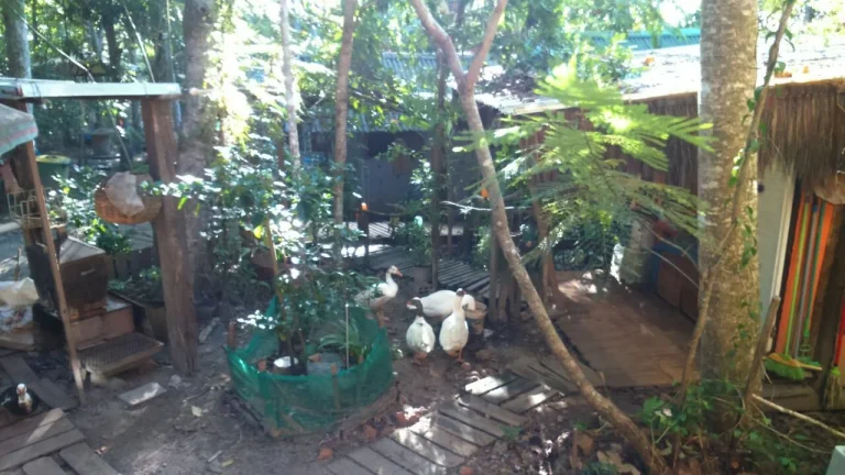 Imagem Casa com quintal à venda em Mata de São João - Loteamento Quinta do Castelo da Torre