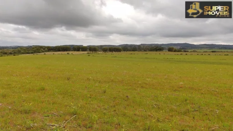 Imagem Fazenda Espetacular no Capão do Leão-RS próximo de Pelotas