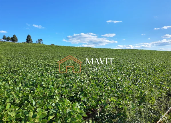 Imagem SITIO RURAL em CAPÃO ALTO - SC, Capão Alto